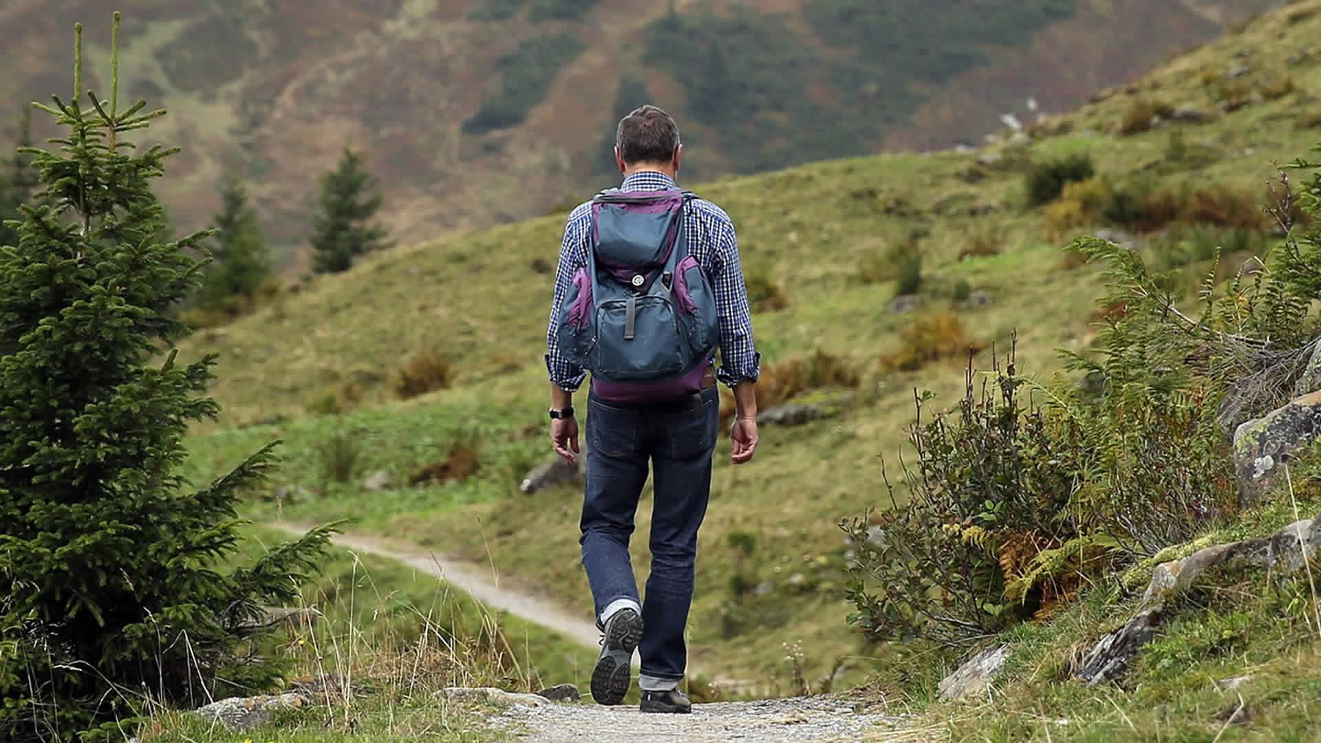 Trilhas no Rio de Janeiro, Melhores Trilhas do Rio, Trilhas para Caminhada, Trilha na Floresta da Tijuca